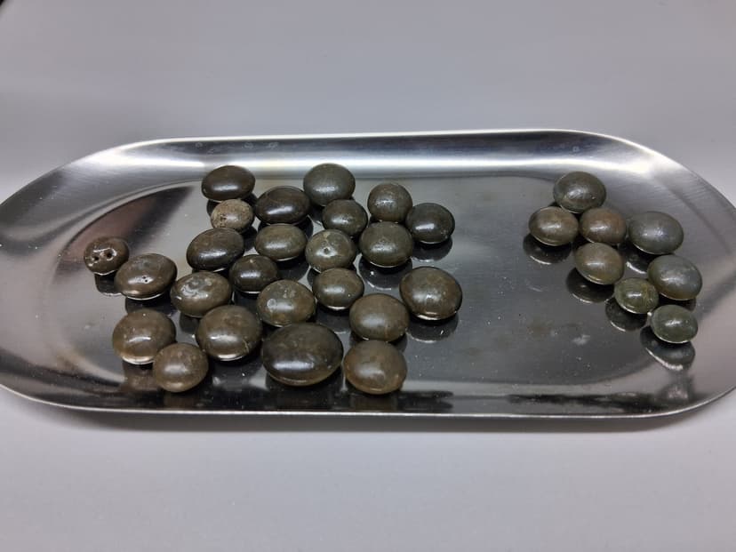 갤러리 이미지 4