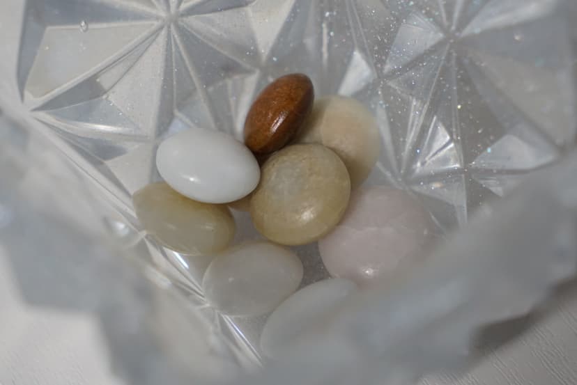 갤러리 이미지 5