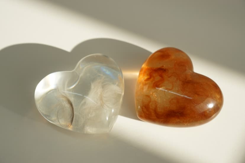 갤러리 이미지 6