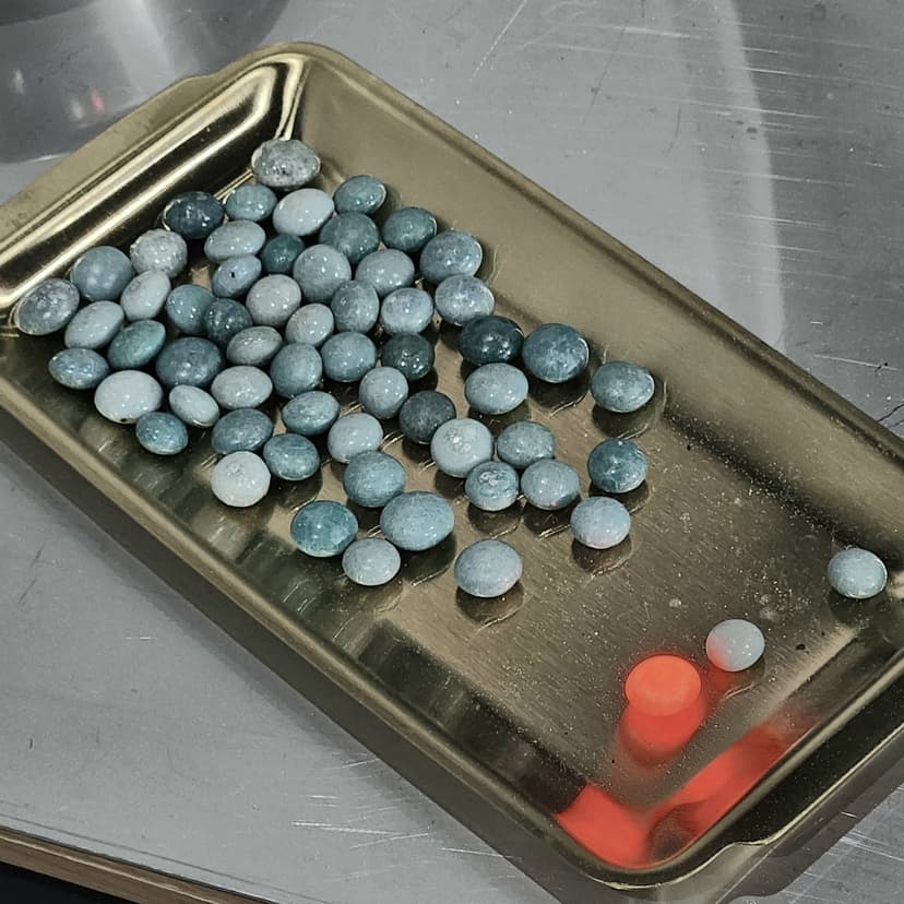 갤러리 이미지 14